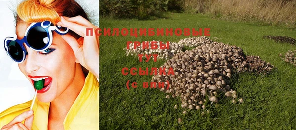 эйфоретик Армянск