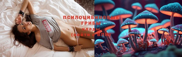 МДПВ Горно-Алтайск