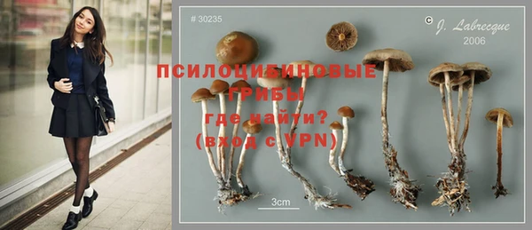 эйфоретик Армянск