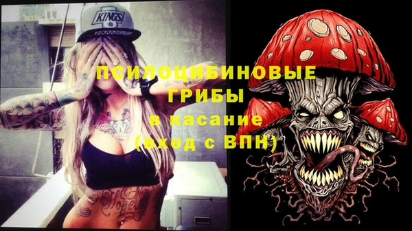 прущая мука Аркадак
