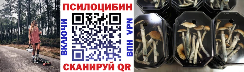 Псилоцибиновые грибы MAGIC MUSHROOMS  Козьмодемьянск 